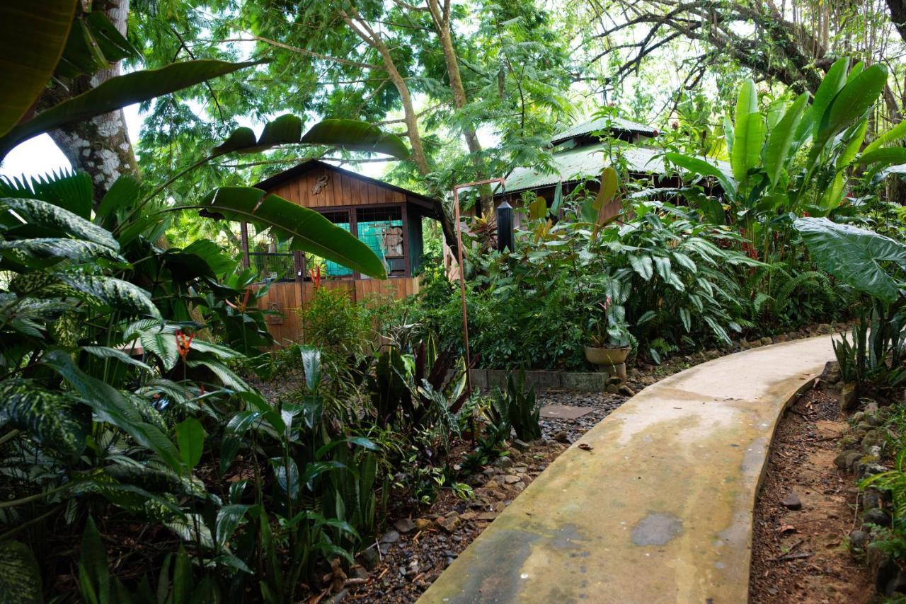 Las Brisas Del Sur Ojochal Buitenkant foto
