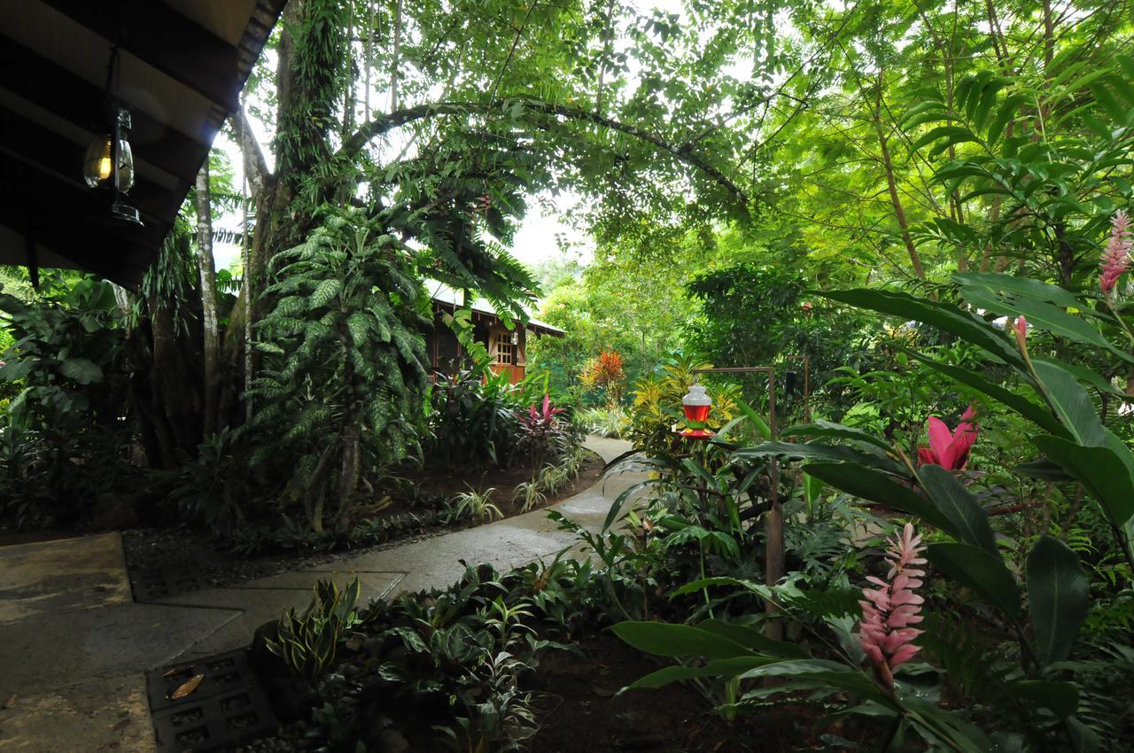 Las Brisas Del Sur Ojochal Buitenkant foto
